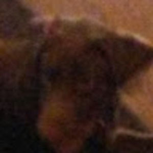 Meet your Posher, Moregoodideas